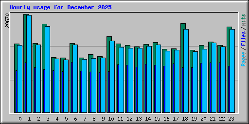 Hourly usage for December 2025